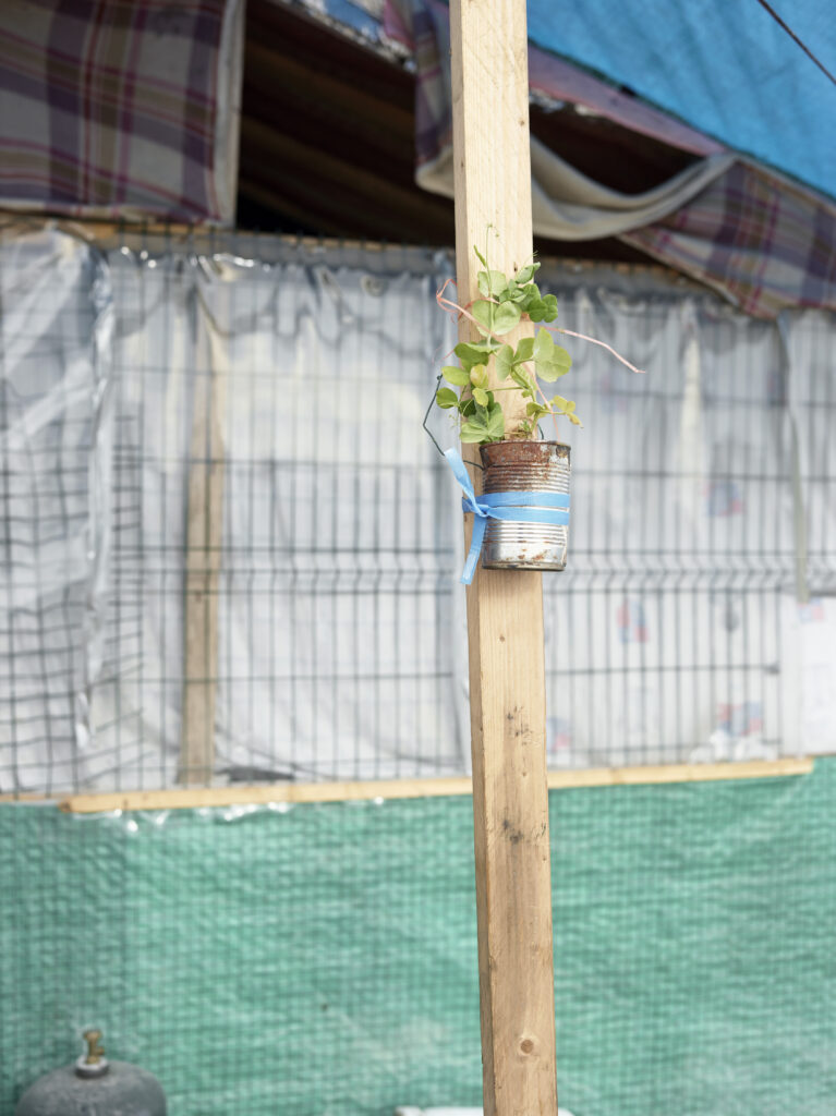 AutoWB: 1.39; 1.00; 1.43,  Kelvin=5166,  Tint=-0.0059