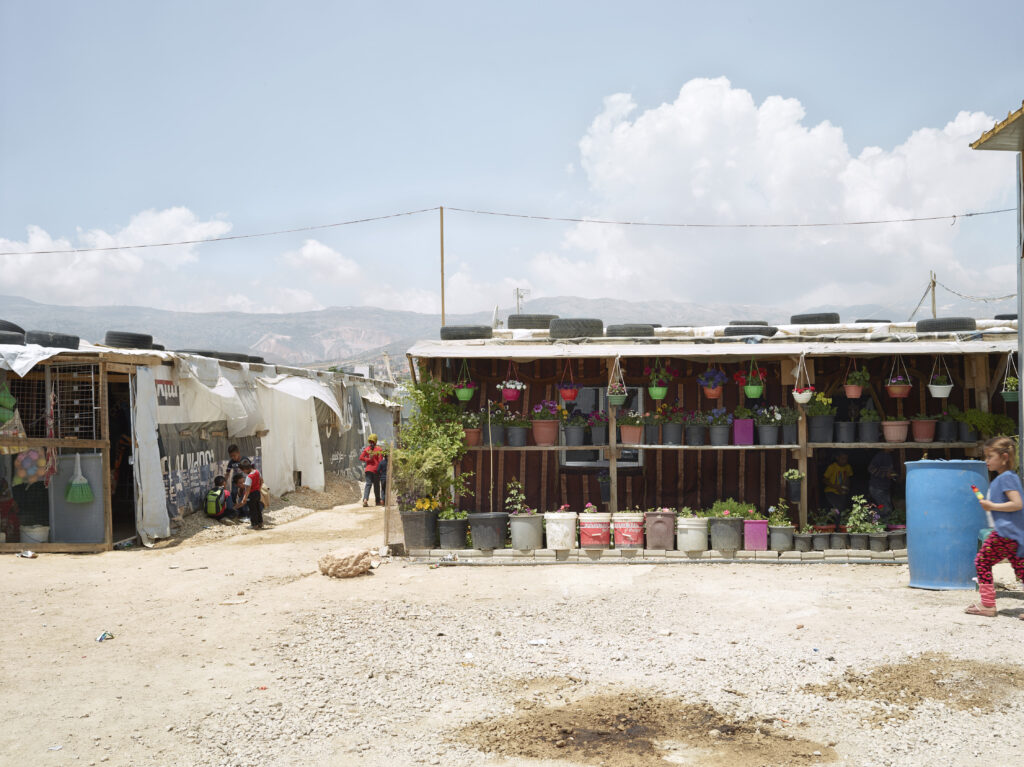 AutoWB: 1.18; 1.00; 1.53,  Kelvin=4315,  Tint=0.0034