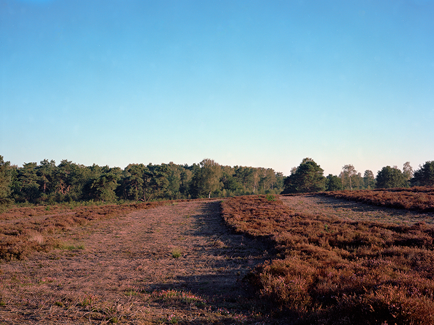 Speulderheide