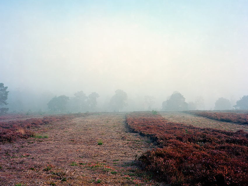 Speulderheide