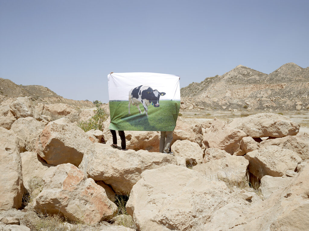 AutoWB: 1.07; 1.00; 1.73,  Kelvin=3690,  Tint=0.0026