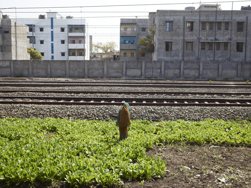 AutoWB: 1.47; 1.00; 1.32,  Kelvin=5976,  Tint=-0.0052