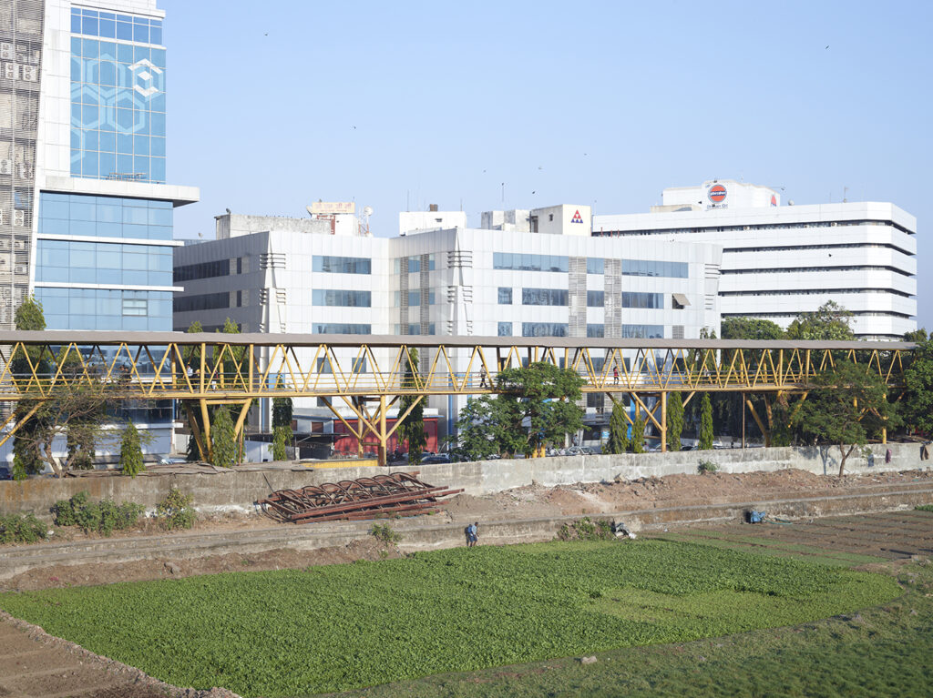 AutoWB: 1.26; 1.00; 1.64,  Kelvin=4308,  Tint=-0.0058