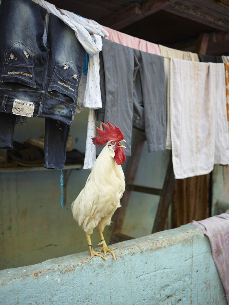 AutoWB: 1.36; 1.00; 1.29,  Kelvin=5628,  Tint=0.0014