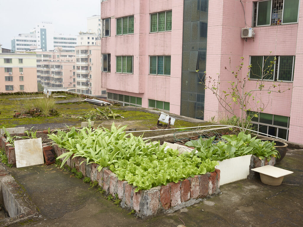 AutoWB: 1.43; 1.00; 1.37,  Kelvin=5577,  Tint=-0.0057