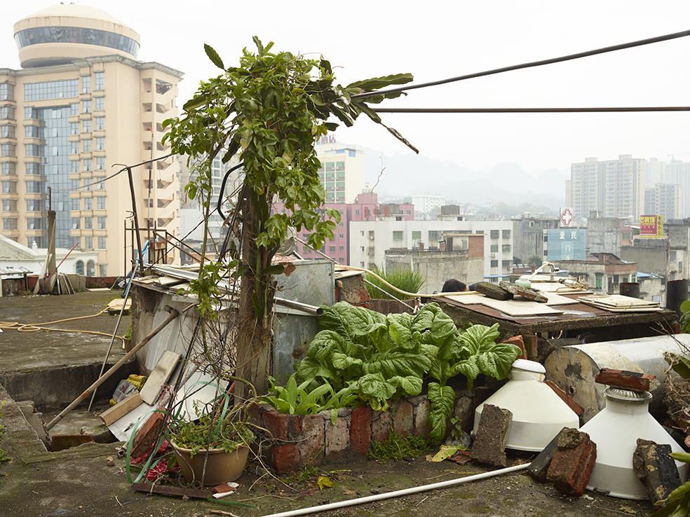 AutoWB: 1.43; 1.00; 1.29,  Kelvin=5973,  Tint=-0.0018