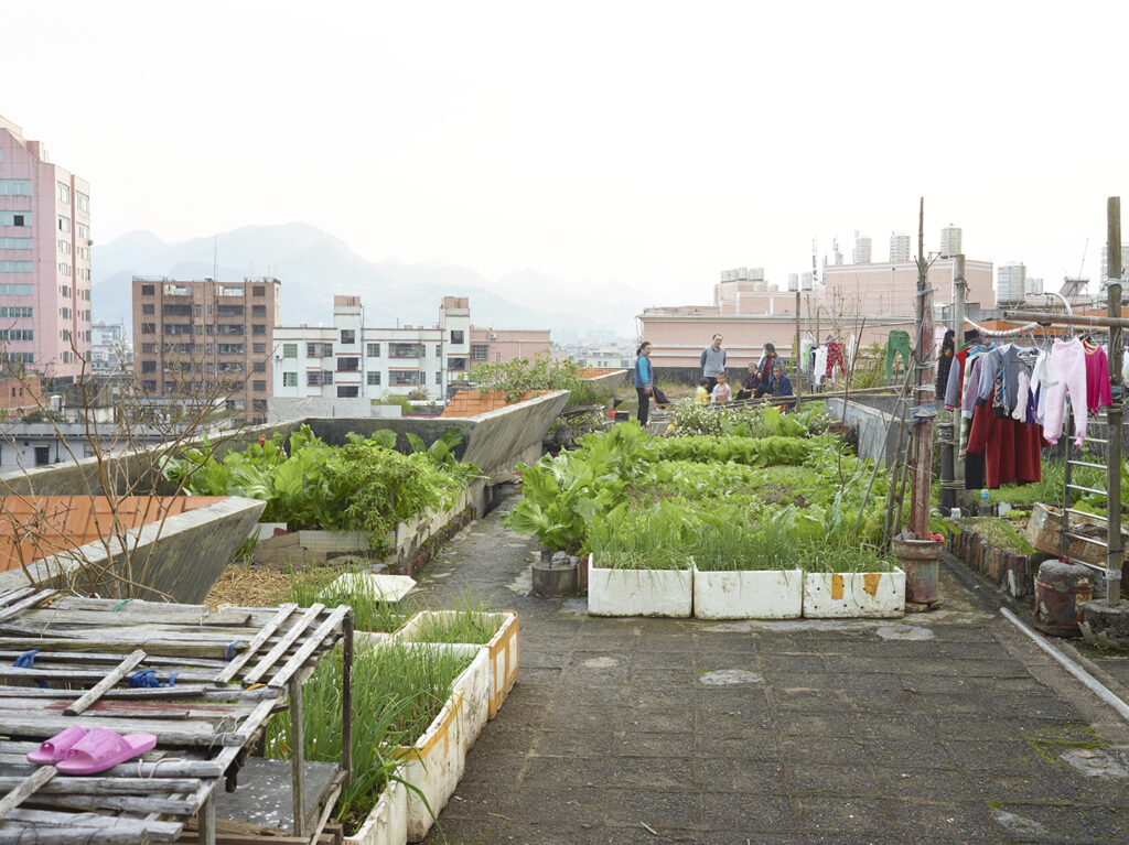 AutoWB: 1.38; 1.00; 1.36,  Kelvin=5387,  Tint=-0.0026