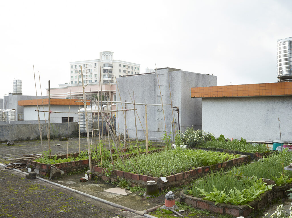 AutoWB: 1.39; 1.00; 1.35,  Kelvin=5518,  Tint=-0.0029