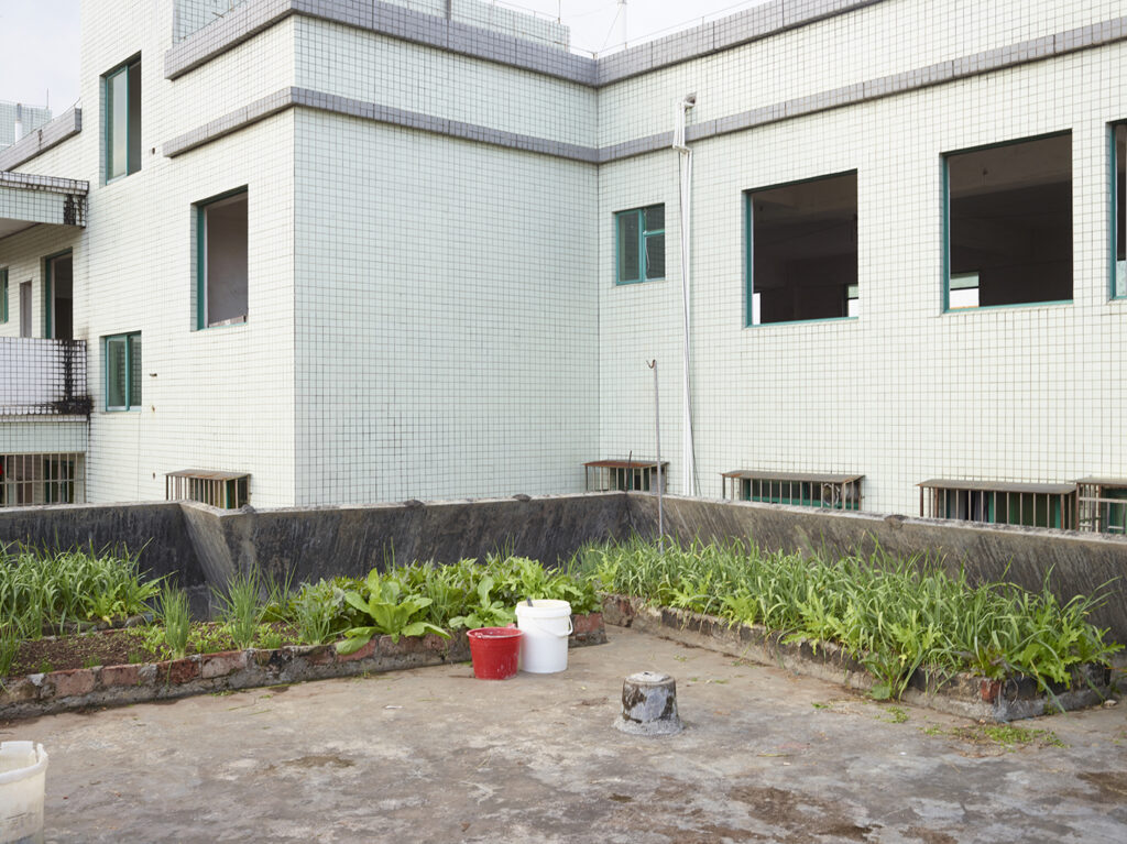 AutoWB: 1.49; 1.00; 1.41,  Kelvin=5633,  Tint=-0.0108