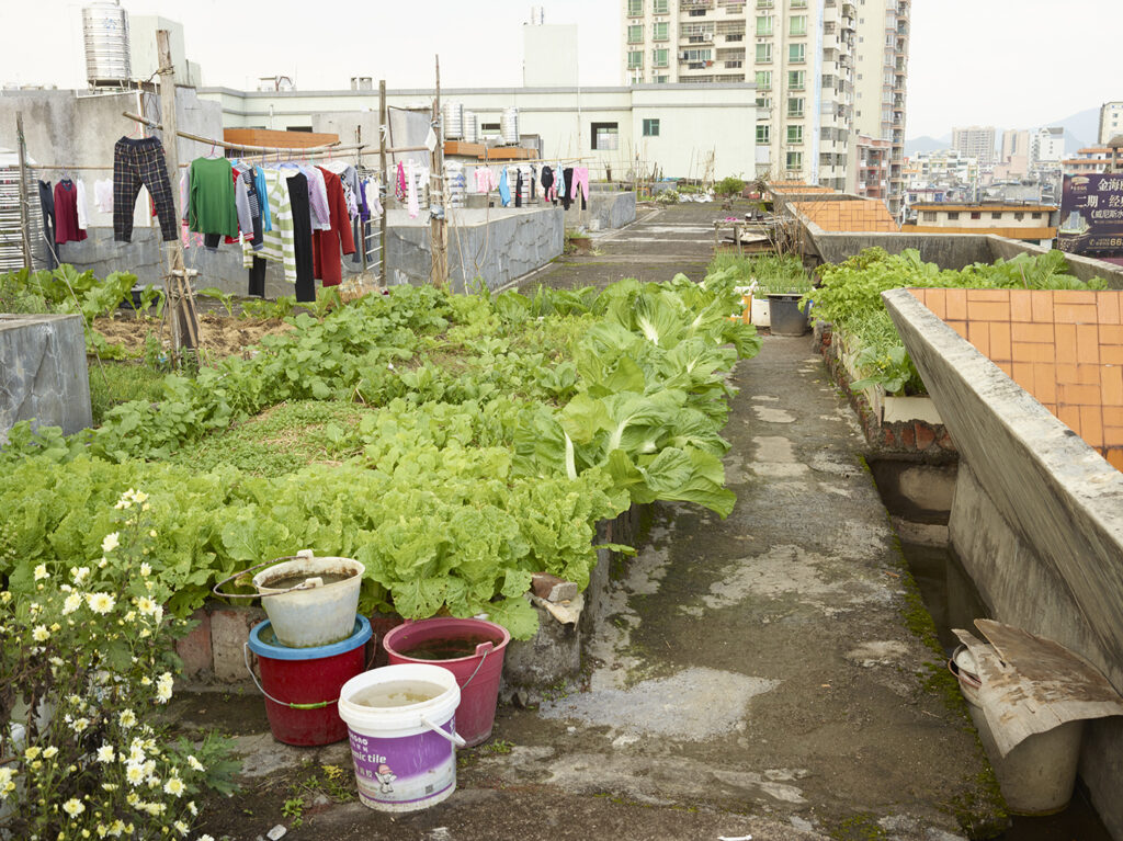 AutoWB: 1.51; 1.00; 1.28,  Kelvin=6360,  Tint=-0.0054